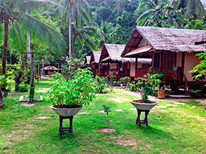 The native style cottages set in a large and well maintained garden The native style cottages set in a large and well maintained garden