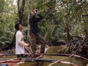 mangrove swamp forest which can be visited in a small boat.
