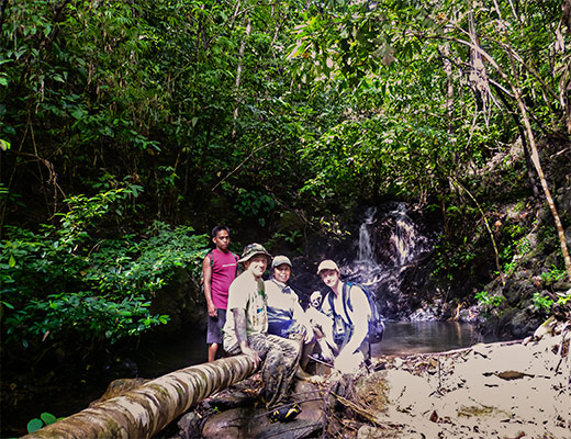 guests can experience real jungle and see one or two waterfalls