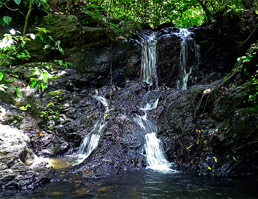 Greenviews Resorts – Jungle & Waterfall Wildlife Sanctuary