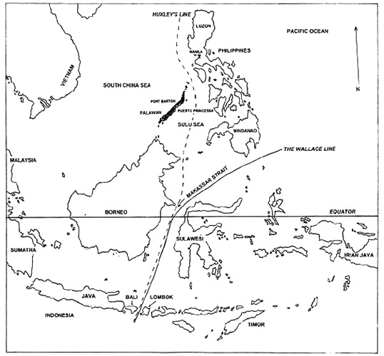 Map with a line – known to this day as The Wallace Line.