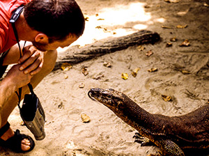 Guest meeting a monitor lizard.