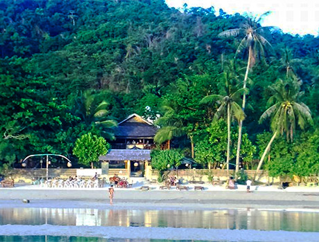 On the beach at the edge of the rain forest