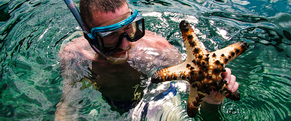 Snorkelling gives the opportunity to investigate the coral reefs