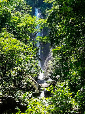 trek to hidden waterfalls