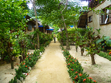 Garden Path towards beach Garden Path towards beach