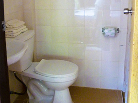 Flush toilet Room 16