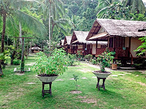 in beautiful garden surroundings in beautiful garden surroundings
