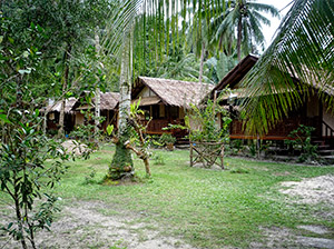 in beautiful garden surroundings in beautiful garden surroundings